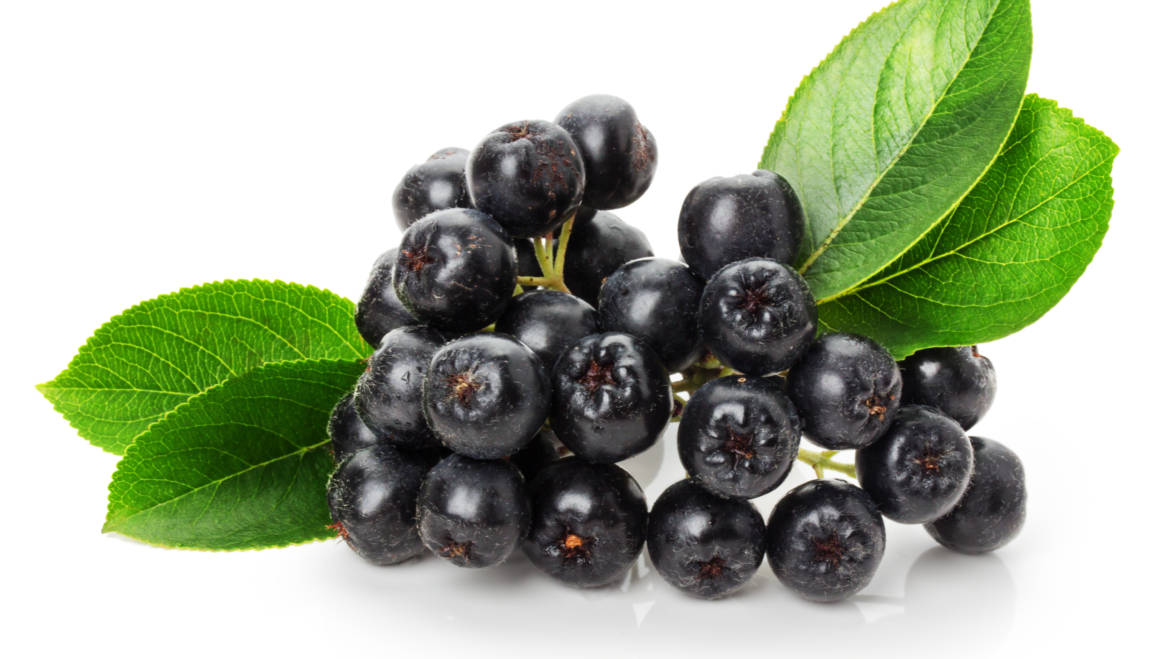 Aronia – cel mai puternic antioxidant