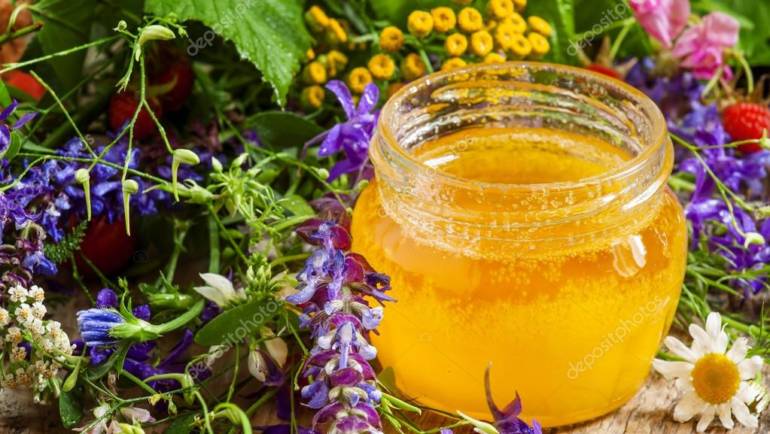 LEACURI MANASTIRESTI DIN MUNTII MACINULUI