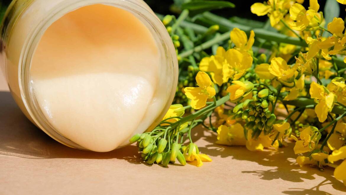 Mierea de rapita – Beneficii